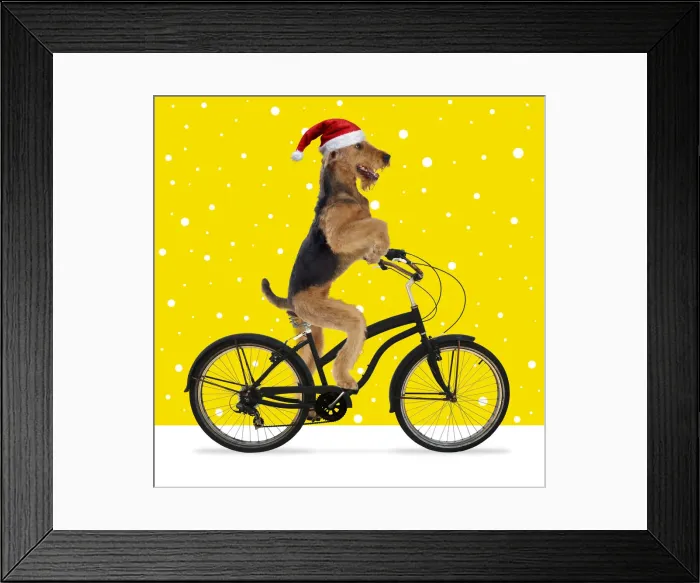 Framed Print : Picture No. 12020775