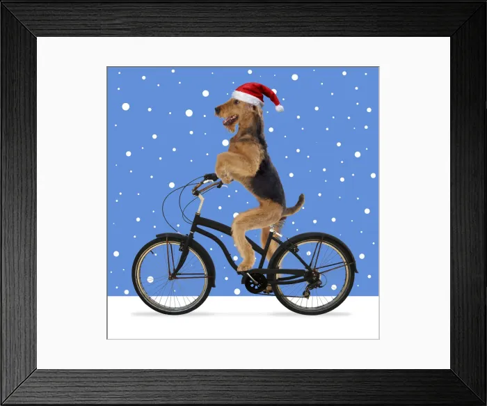 Framed Print : Picture No. 12020776