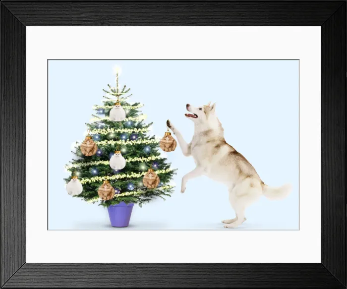 Framed Print : Picture No. 12020779 Framed Print : Picture No. 12020779