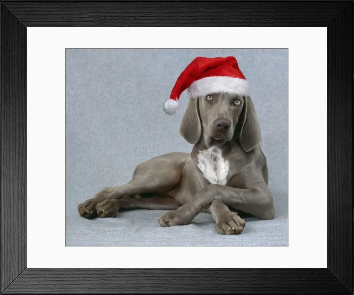 Framed Print : Picture No. 12020780 Framed Print : Picture No. 12020780