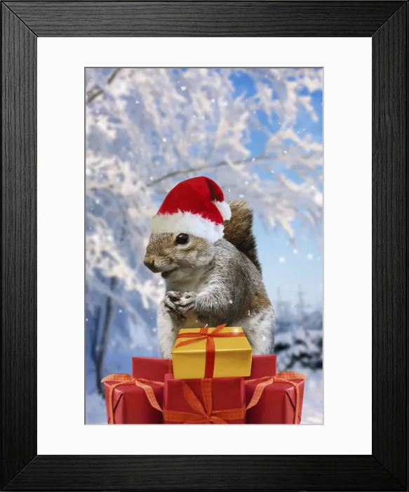 Framed Print : Picture No. 12020782 Framed Print : Picture No. 12020782