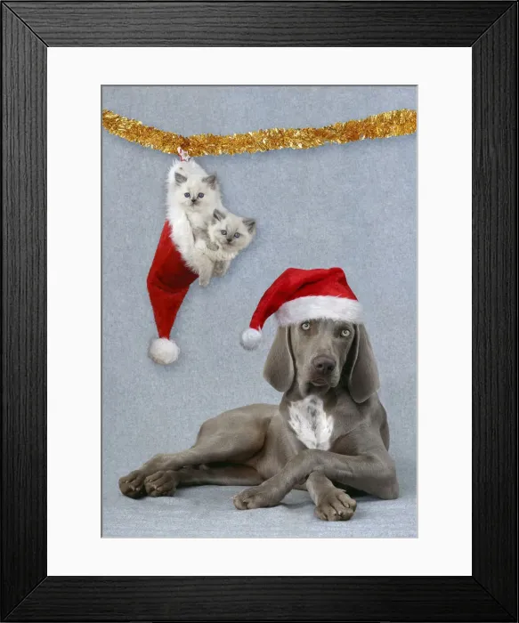 Framed Print : Picture No. 12020781 Framed Print : Picture No. 12020781