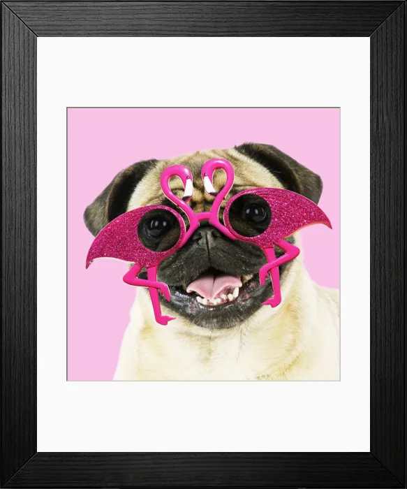 Framed Print : Picture No. 12020783 Framed Print : Picture No. 12020783
