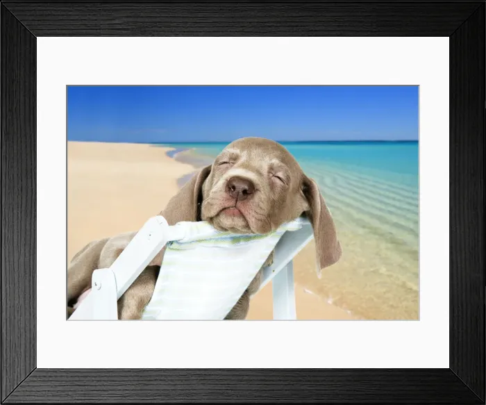 Framed Print : Picture No. 12020785 Framed Print : Picture No. 12020785