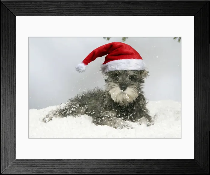 Framed Print : Picture No. 12020786 Framed Print : Picture No. 12020786