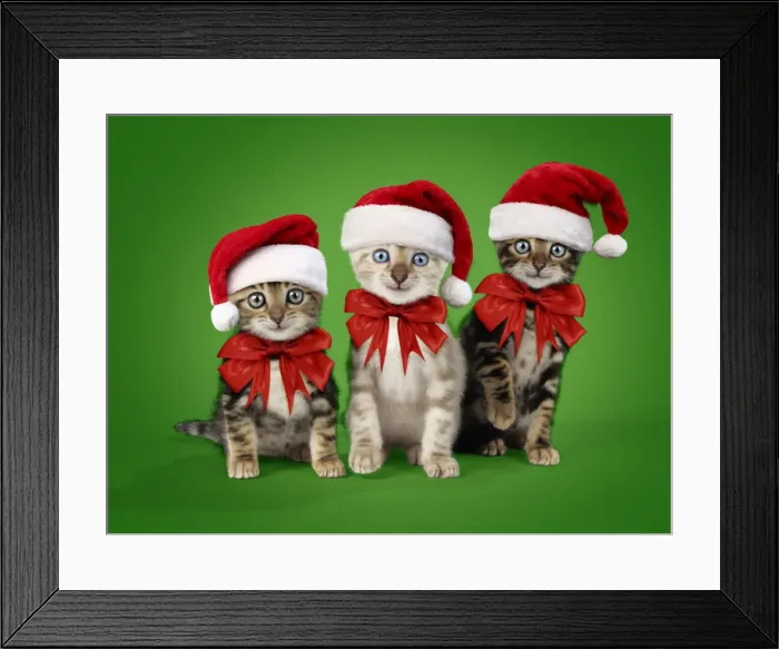 Framed Print : Picture No. 12020787 Framed Print : Picture No. 12020787