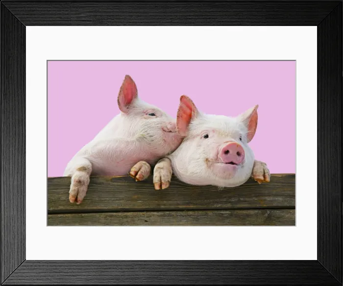 Framed Print : Picture No. 12020788 Framed Print : Picture No. 12020788