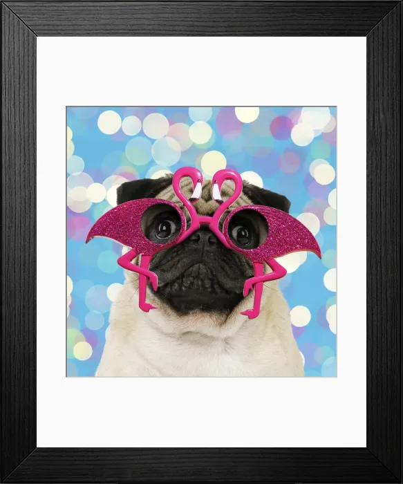 Framed Print : Picture No. 12020789 Framed Print : Picture No. 12020789