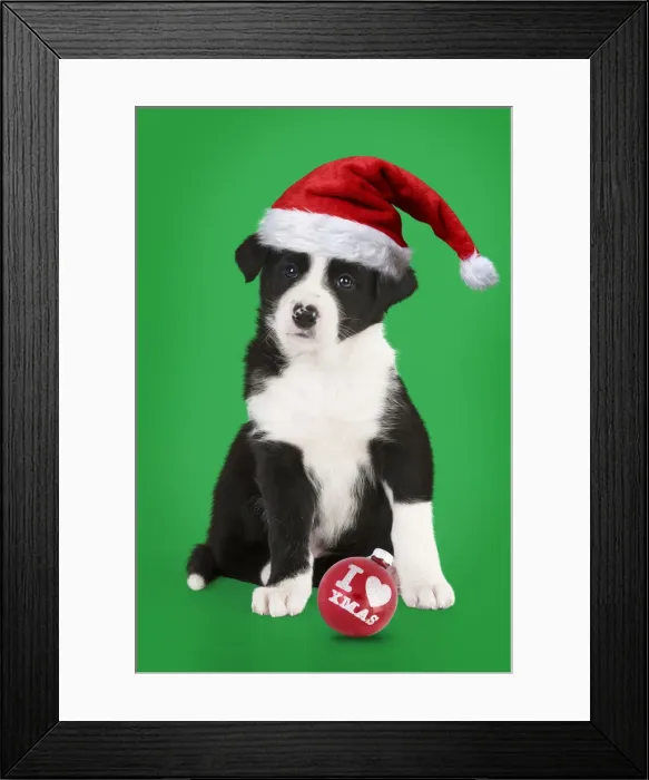 Framed Print : Picture No. 12020791 Framed Print : Picture No. 12020791