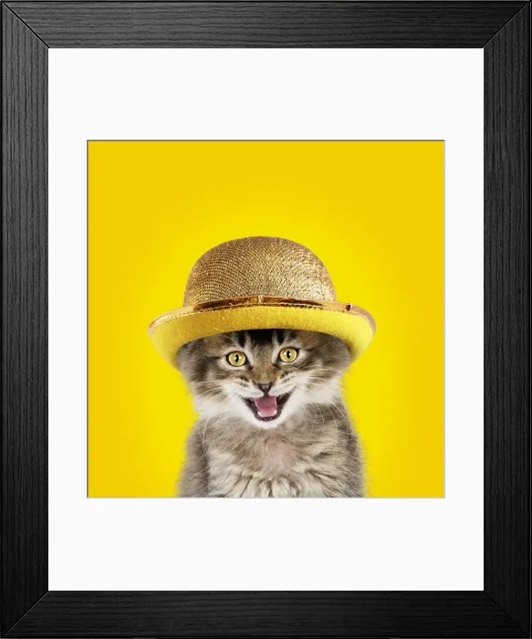 Framed Print : Picture No. 12020794 Framed Print : Picture No. 12020794