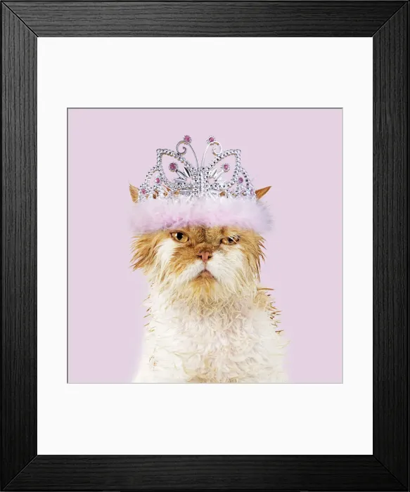 Framed Print : Picture No. 12020796 Framed Print : Picture No. 12020796