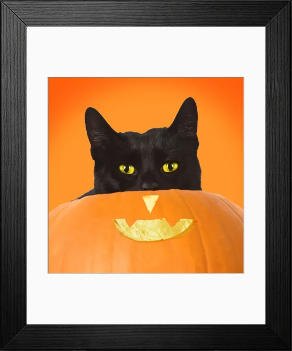 Framed Print : Picture No. 12020797 Framed Print : Picture No. 12020797