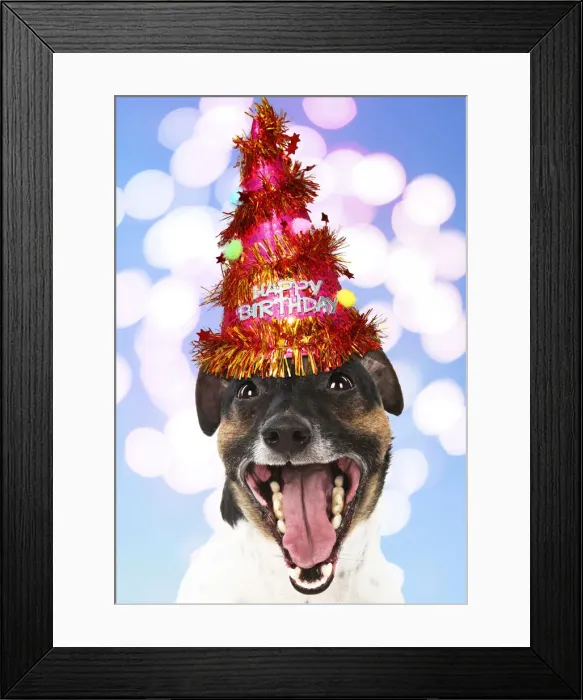 Framed Print : Picture No. 12020799 Framed Print : Picture No. 12020799