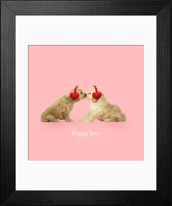 Framed Print : Picture No. 12020800 Framed Print : Picture No. 12020800