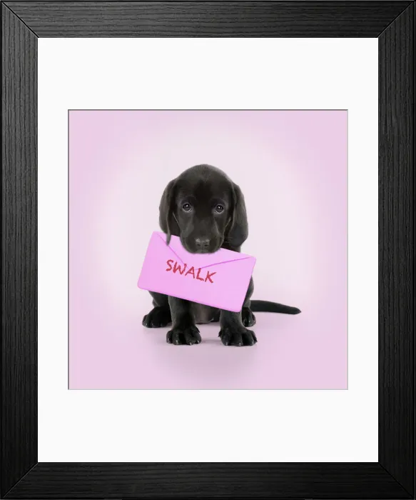 Framed Print : Picture No. 12020801 Framed Print : Picture No. 12020801