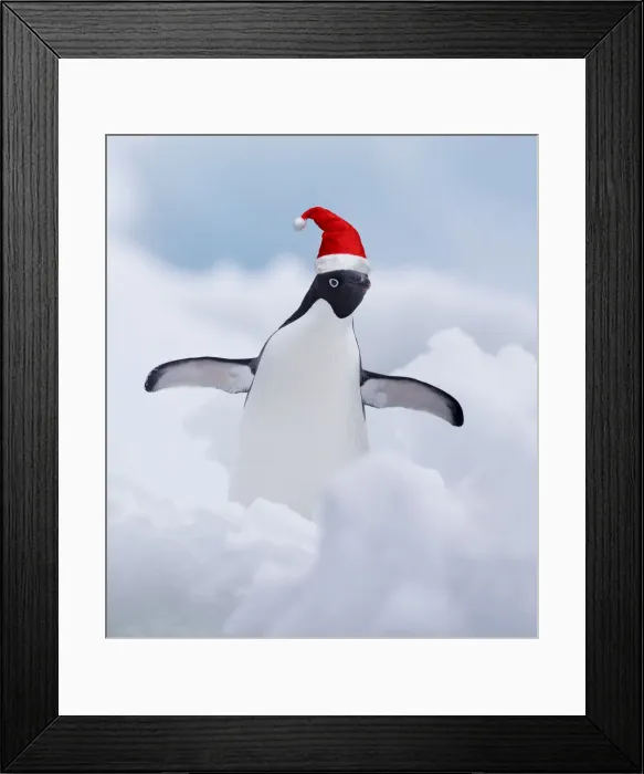 Framed Print : Picture No. 12020839 Framed Print : Picture No. 12020839