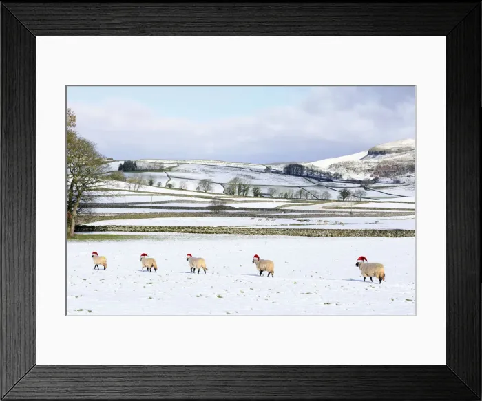 Framed Print : Picture No. 12020223 Framed Print : Picture No. 12020223