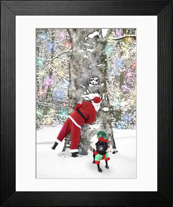 Framed Print : Picture No. 12020851 Framed Print : Picture No. 12020851