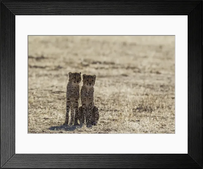 Framed Print : Picture No. 12019698 Framed Print : Picture No. 12019698