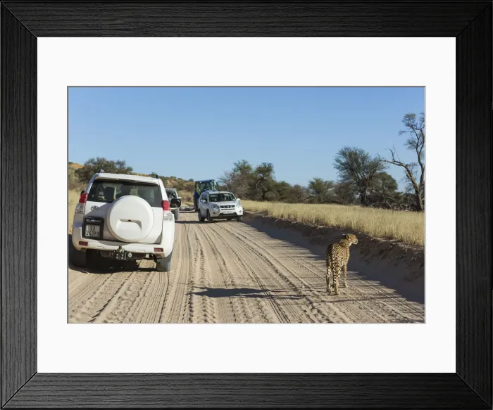 Framed Print : Picture No. 12019699 Framed Print : Picture No. 12019699