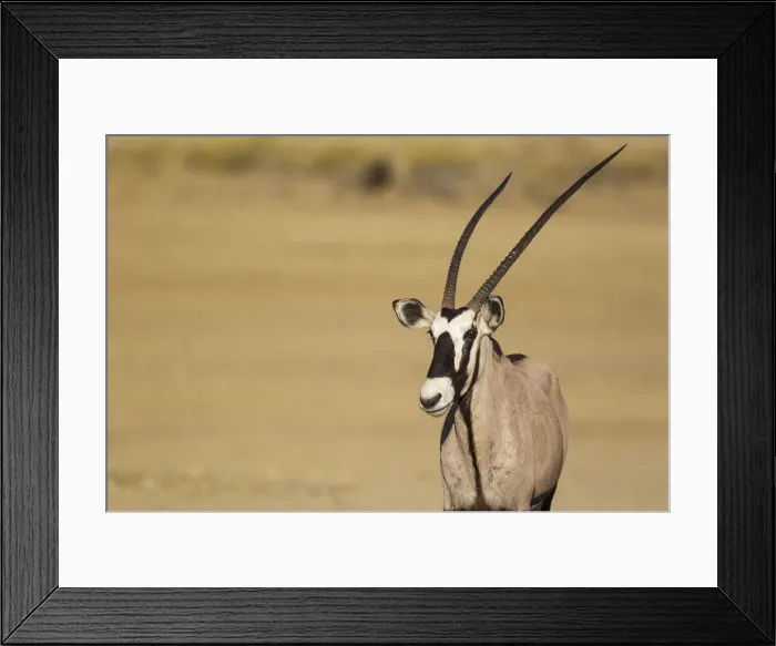 Framed Print : Picture No. 12019703 Framed Print : Picture No. 12019703