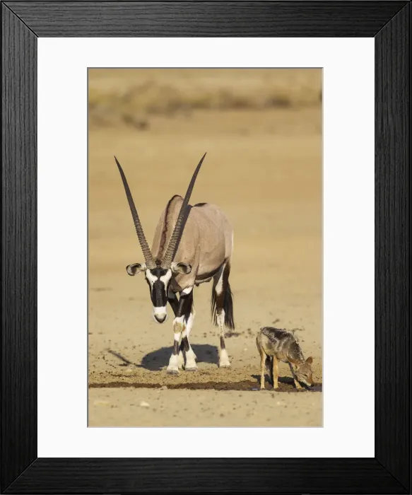 Framed Print : Picture No. 12019705 Framed Print : Picture No. 12019705