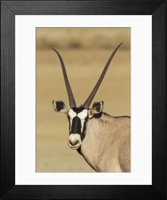 Framed Print : Picture No. 12019704 Framed Print : Picture No. 12019704