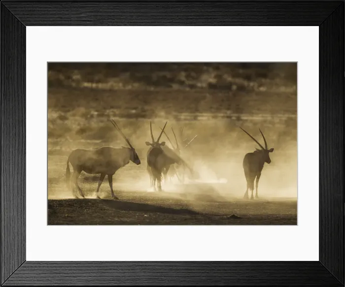 Framed Print : Picture No. 12019706 Framed Print : Picture No. 12019706