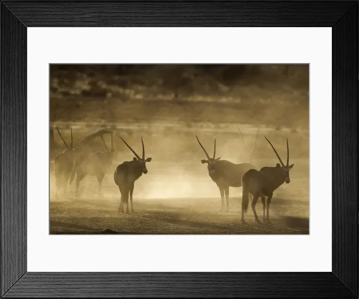 Framed Print : Picture No. 12019707 Framed Print : Picture No. 12019707