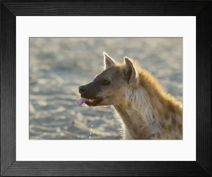 Framed Print : Picture No. 12019718 Framed Print : Picture No. 12019718