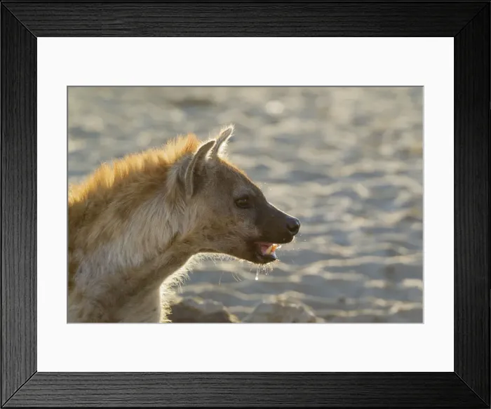 Framed Print : Picture No. 12019719 Framed Print : Picture No. 12019719