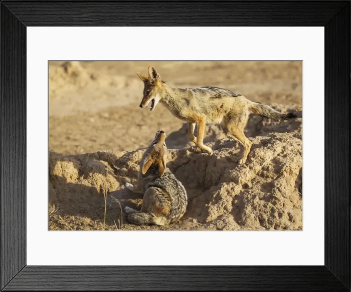 Framed Print : Picture No. 12019720 Framed Print : Picture No. 12019720