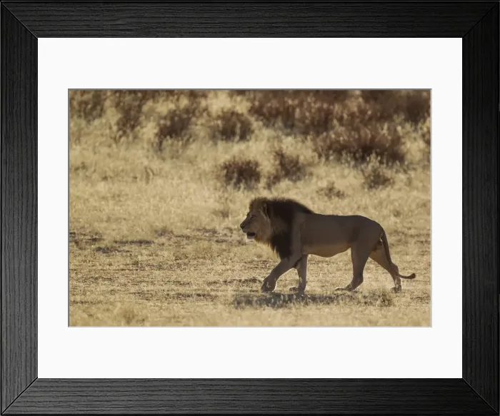 Framed Print : Picture No. 12019729 Framed Print : Picture No. 12019729