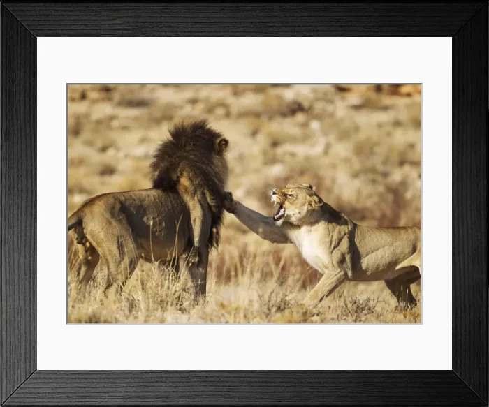 Framed Print : Picture No. 12019730 Framed Print : Picture No. 12019730