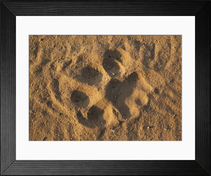 Framed Print : Picture No. 12019735 Framed Print : Picture No. 12019735