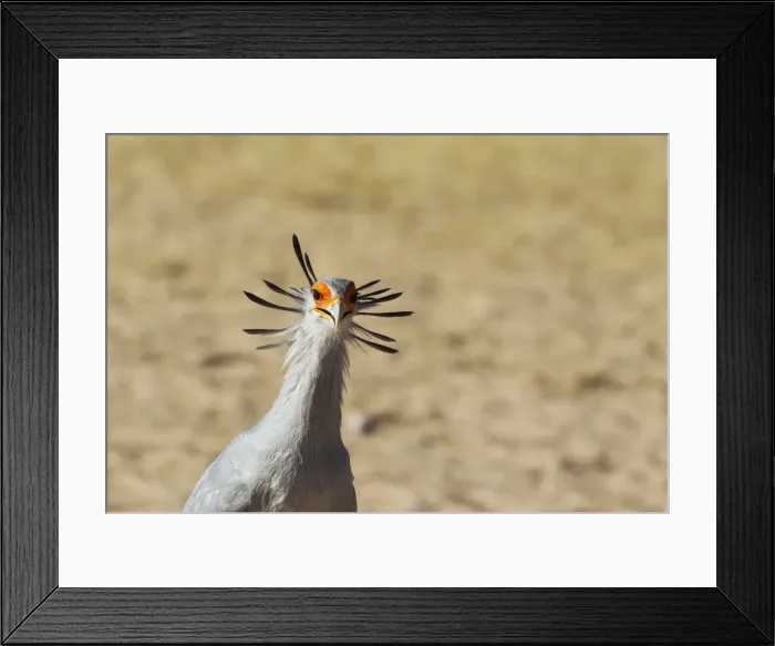 Framed Print : Picture No. 12019742 Framed Print : Picture No. 12019742