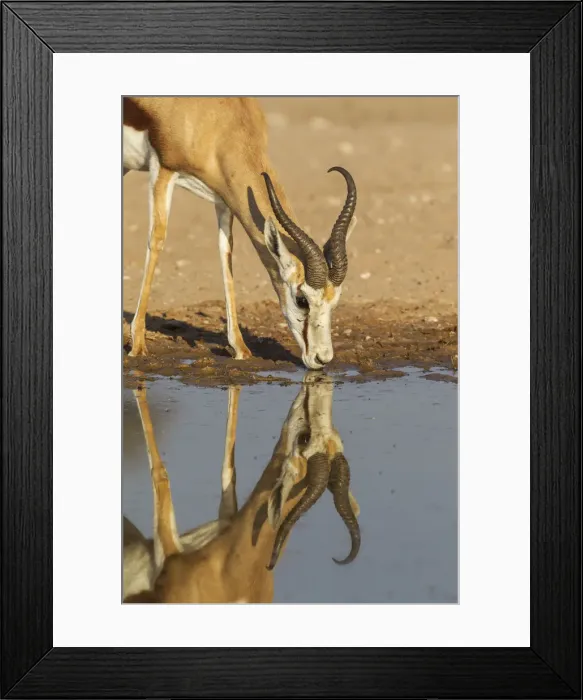 Framed Print : Picture No. 12019749 Framed Print : Picture No. 12019749