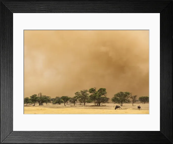 Framed Print : Picture No. 12019757 Framed Print : Picture No. 12019757