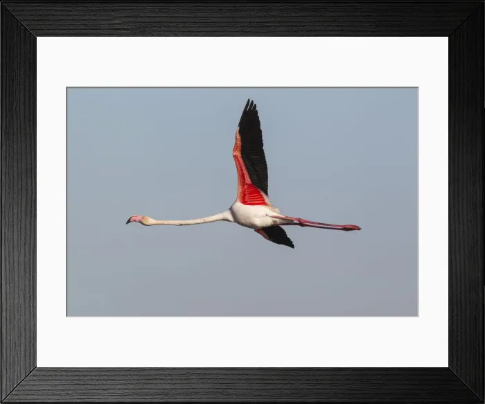 Framed Print : Picture No. 12019962 Framed Print : Picture No. 12019962