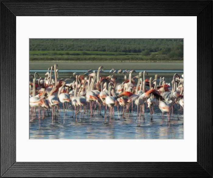 Framed Print : Picture No. 12019964 Framed Print : Picture No. 12019964