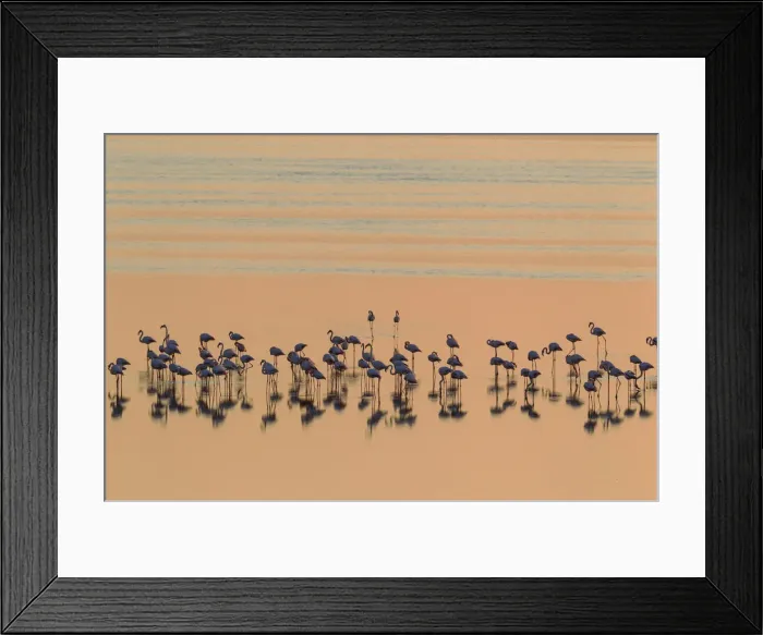 Framed Print : Picture No. 12019971 Framed Print : Picture No. 12019971