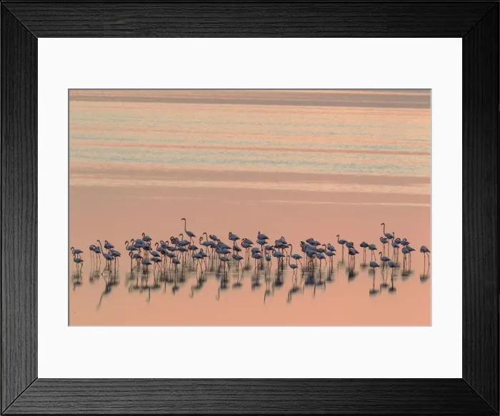 Framed Print : Picture No. 12019972 Framed Print : Picture No. 12019972