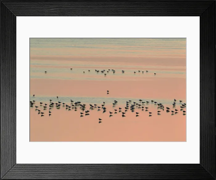Framed Print : Picture No. 12019973 Framed Print : Picture No. 12019973