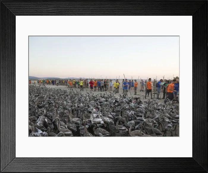 Framed Print : Picture No. 12019978 Framed Print : Picture No. 12019978