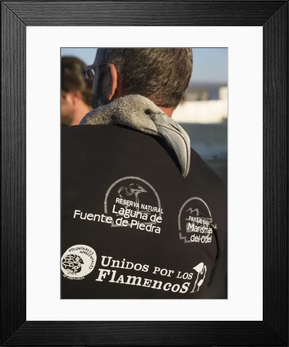 Framed Print : Picture No. 12019980 Framed Print : Picture No. 12019980