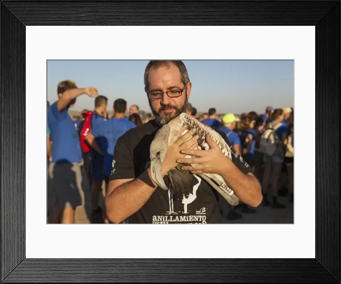 Framed Print : Picture No. 12019981 Framed Print : Picture No. 12019981