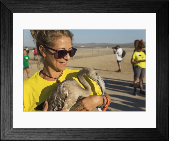 Framed Print : Picture No. 12019984 Framed Print : Picture No. 12019984