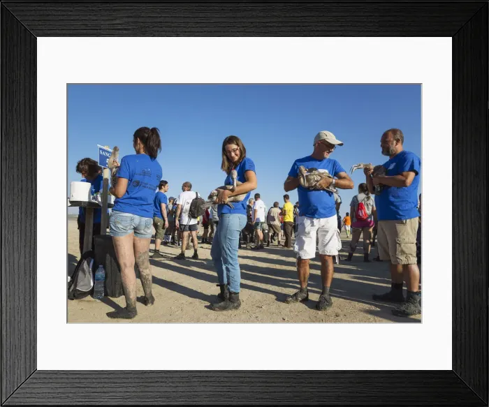 Framed Print : Picture No. 12019987 Framed Print : Picture No. 12019987