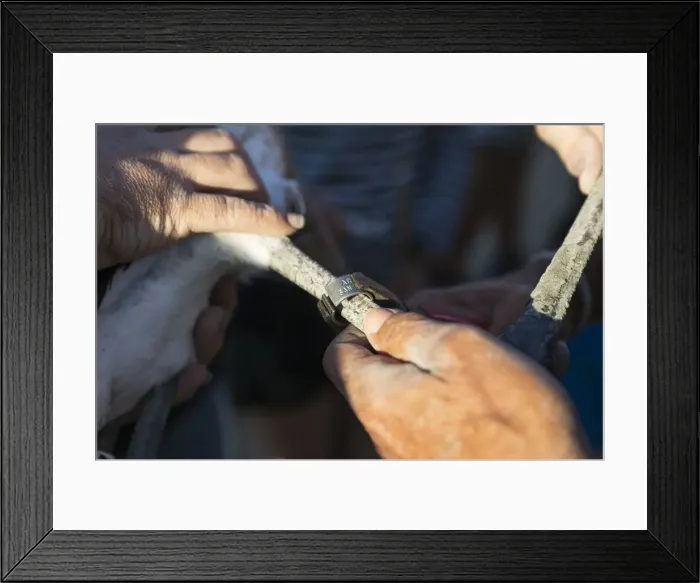 Framed Print : Picture No. 12019990 Framed Print : Picture No. 12019990