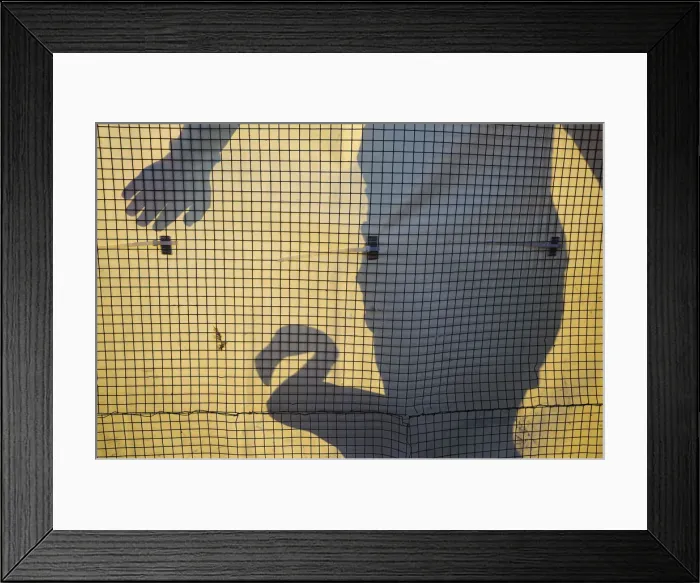 Framed Print : Picture No. 12019991 Framed Print : Picture No. 12019991